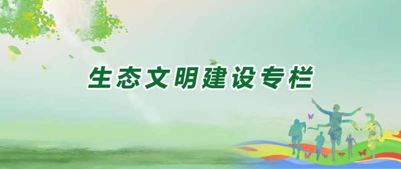 生態(tài)文明建設專欄